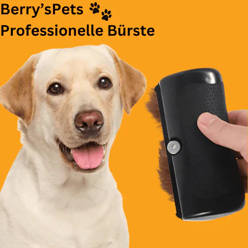 💥Zvířata🐕Profesionální kartáče