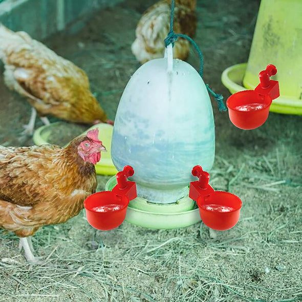 🐔automatyczna fontanna do pojenia drobiu