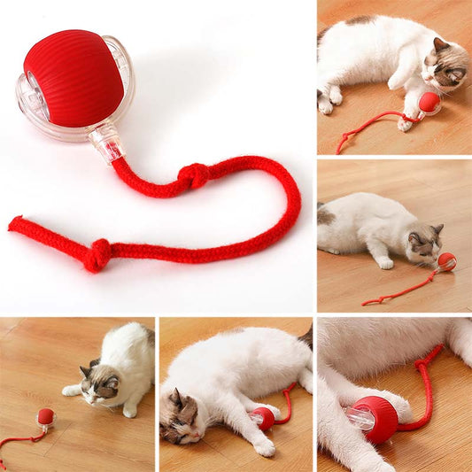 🐱🐶 Automatické míčky na válení pro domácí mazlíčky