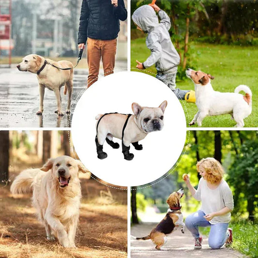🐶Vodotěsné boty pro domácí mazlíčky 💖Dokonalá ochrana tlapek