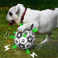 🐕⚽Psí fotbalová hračka