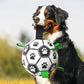 🐕⚽Psí fotbalová hračka