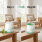 🍃 KUPTE 2, ZÍSKEJTE 1 ZDARMA 🎁 Gel pro čištění vzduchu proti zápachu kouře ✨ Účinně neutralizuje a vytváří svěžest | Ideální do auta   i domova!